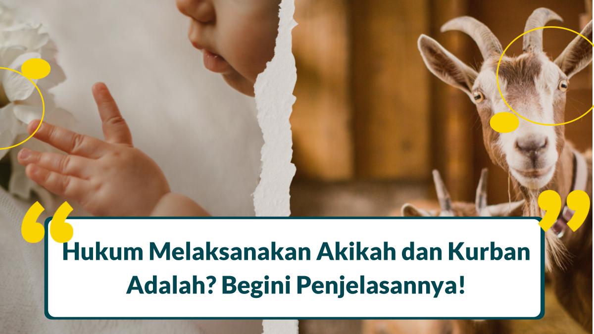 Hukum Melaksanakan Akikah dan Kurban Adalah? Begini Penjelasannya!