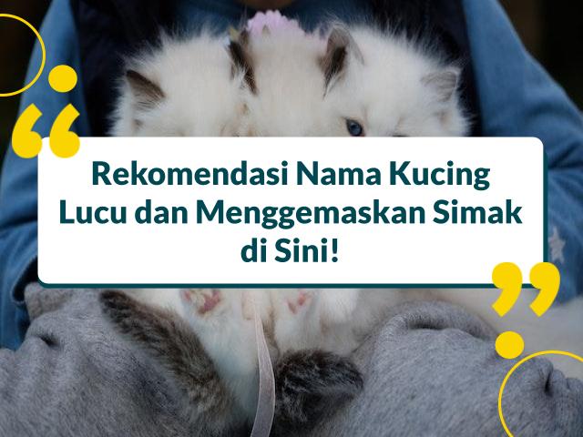 Rekomendasi Nama Kucing Lucu dan Menggemaskan Simak di Sini