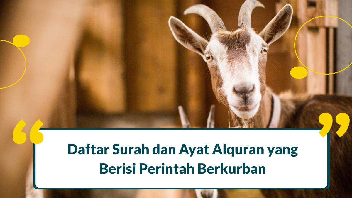 Ayat Alquran yang Berisi Perintah Berkurban adalah Sunnah Muakkad, Ini Surahnya!