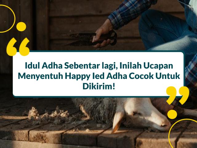 Happy Ied Adha Artinya Apa? Simak Contoh & Penjelasannya