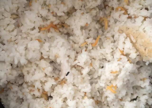 12+ Resep Nasi Uduk untuk Jualan yang Gurih & Nikmat Resep nasi uduk yang nikmat