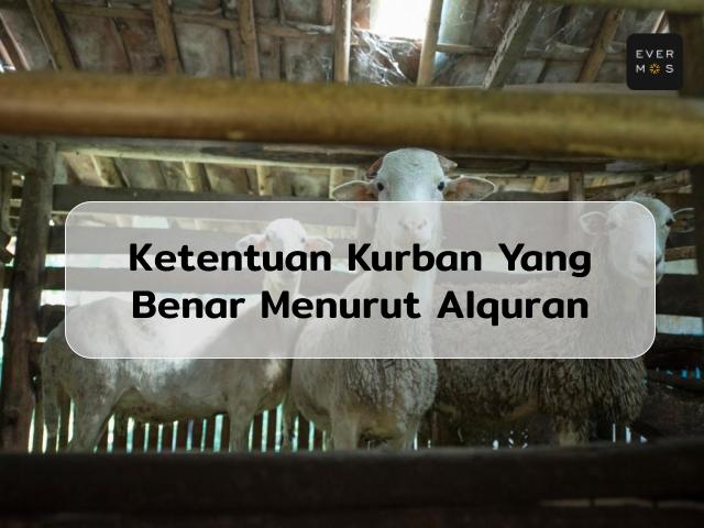 Ketentuan Kurban yang Benar Adalah: Hukum dan Dalilnya