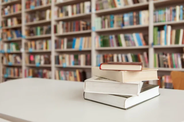 usaha online shop terlaris