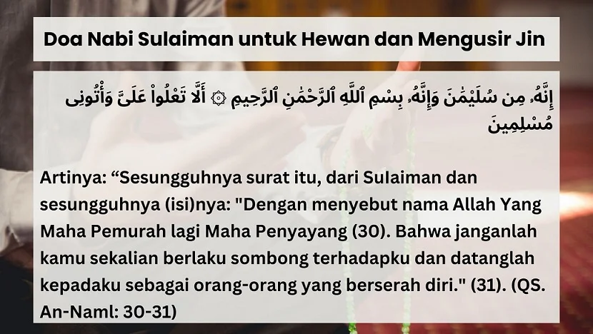 4 Doa Nabi Sulaiman untuk Kekayaan yang Selalu Dikabulkan Allah SWT, Insya Allah Mujarab! doa nabi sulaiman