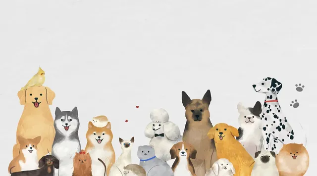 4 Rekomendasi Franchise PetShop Ter-Worth It & Layanannya