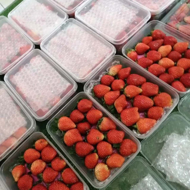 Ini Dia Daftar Grosir Buah Terpercaya di Bandung Raja Buah